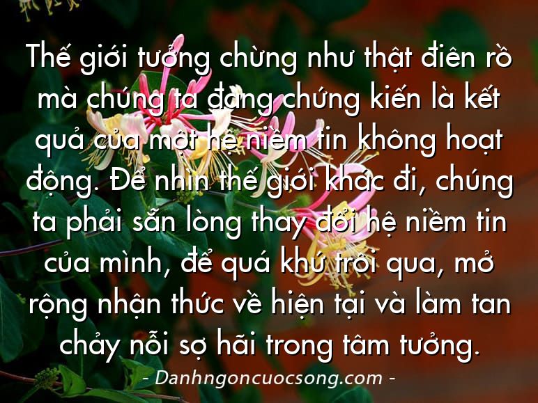 Thế giới tưởng chừng như thật điên rồ mà chúng ta đang chứng kiến là kết quả của một hệ niềm tin không hoạt động. Để nhìn thế giới khác đi, chúng ta phải sẵn lòng thay đổi hệ niềm tin của mình, để quá khứ trôi qua, mở rộng nhận thức về hiện tại và làm tan chảy nỗi sợ hãi trong tâm tưởng.