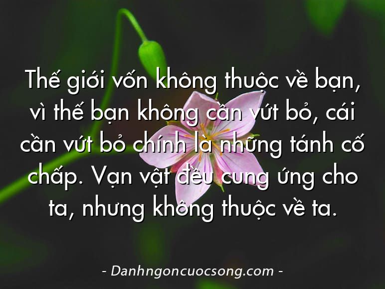 Thế giới vốn không thuộc về bạn, vì thế bạn không cần vứt bỏ, cái cần vứt bỏ chính là những tánh cố chấp. Vạn vật đều cung ứng cho ta, nhưng không thuộc về ta.