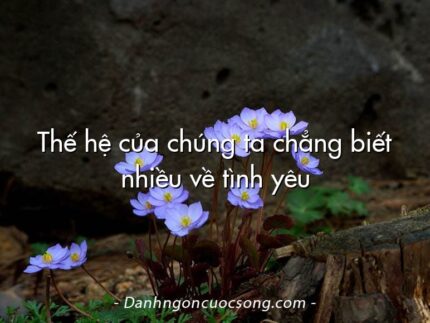 Thế hệ của chúng ta chẳng biết nhiều về tình yêu