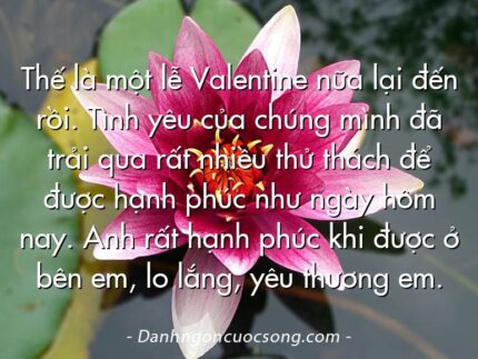 Thế là một lễ Valentine nữa lại đến rồi. Tình yêu của chúng mình đã trải qua rất nhiều thử thách để được hạnh phúc như ngày hôm nay. Anh rất hạnh phúc khi được ở bên em, lo lắng, yêu thương em.