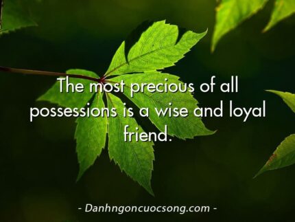 The most precious of all possessions is a wise and loyal friend.