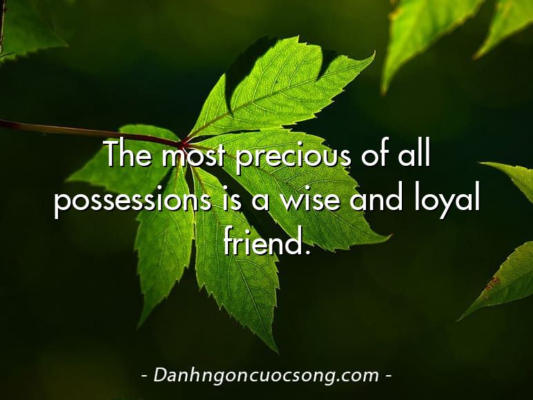The most precious of all possessions is a wise and loyal friend.