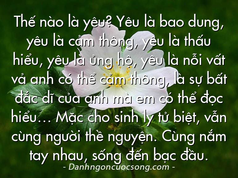 Thế nào là yêu? Yêu là bao dung, yêu là cảm thông, yêu là thấu hiểu, yêu là ủng hộ, yêu là nỗi vất vả anh có thể cảm thông, là sự bất đắc dĩ của anh mà em có thể đọc hiểu… Mặc cho sinh ly tử biệt, vẫn cùng người thề nguyện. Cùng nắm tay nhau, sống đến bạc đầu.