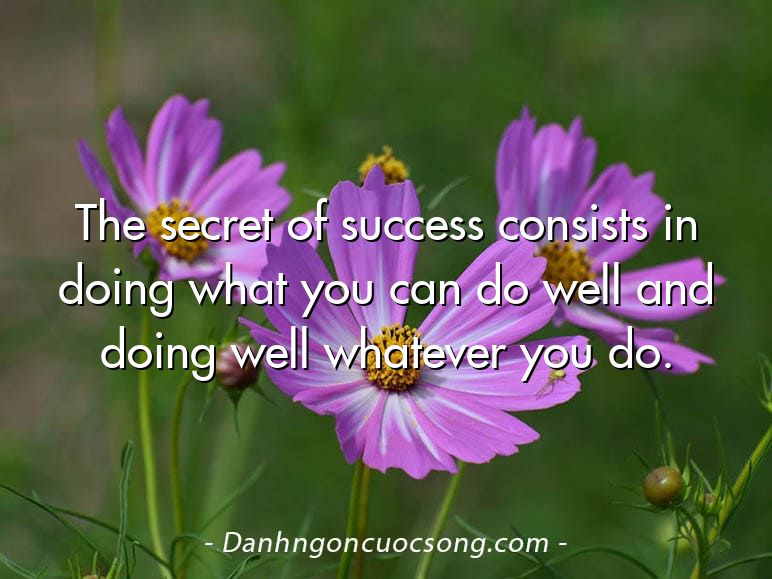 The secret of success consists in doing what you can do well and doing well whatever you do.
