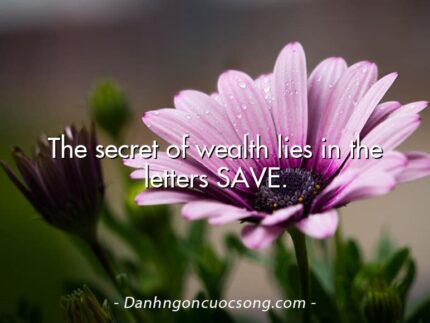 The secret of wealth lies in the letters SAVE.