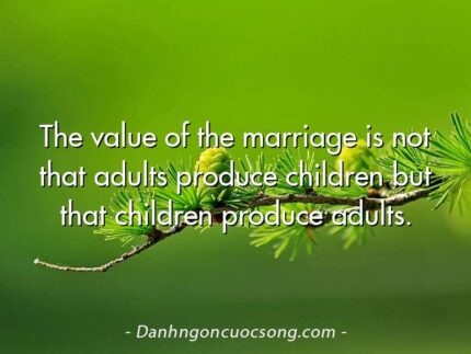 The value of the marriage is not that adults produce children but that children produce adults.