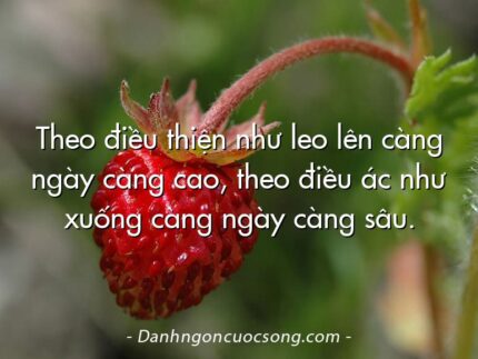Theo điều thiện như leo lên càng ngày càng cao, theo điều ác như xuống càng ngày càng sâu.