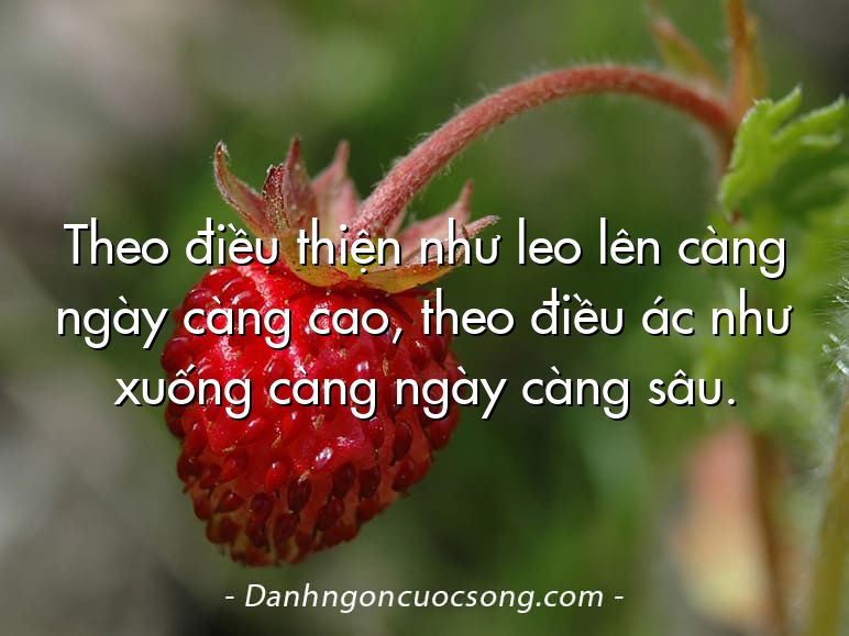 Theo điều thiện như leo lên càng ngày càng cao, theo điều ác như xuống càng ngày càng sâu.