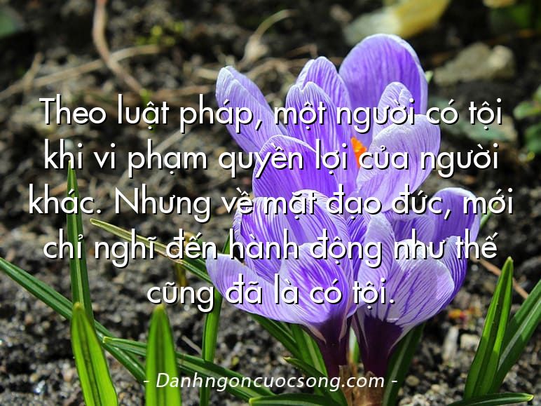 Theo luật pháp, một người có tội khi vi phạm quyền lợi của người khác. Nhưng về mặt đạo đức, mới chỉ nghĩ đến hành động như thế cũng đã là có tội.