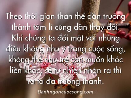 Theo thời gian thân thể dần trưởng thành tâm lí cũng dần thay đổi. Khi chúng ta đối mặt với những điều không như ý trong cuộc sống, không thể như trẻ con muốn khóc liền khóc, sẽ tự nhiên nhận ra thì ra ta đã trưởng thành.
