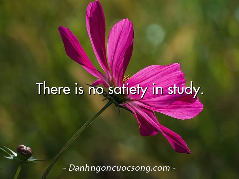 There is no satiety in study.