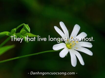 They that live longest see most.