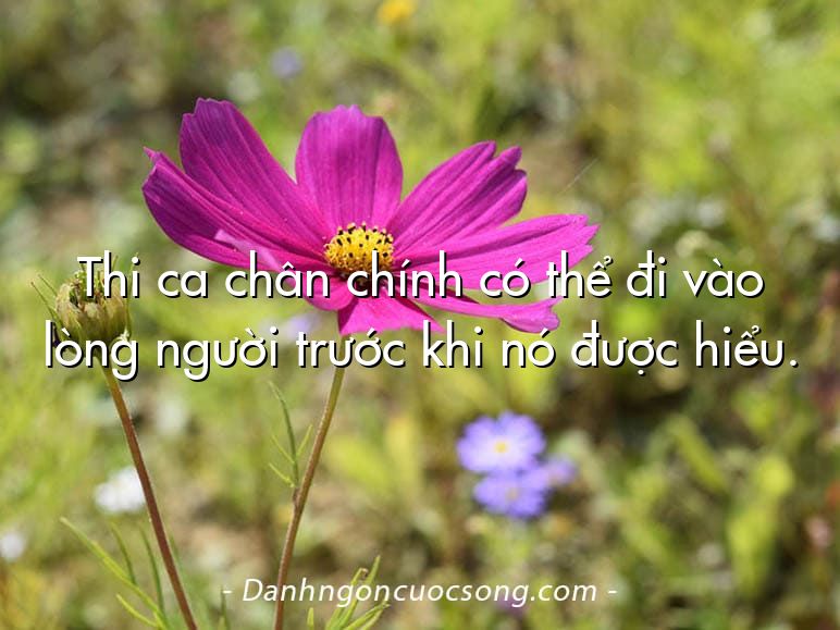 Thi ca chân chính có thể đi vào lòng người trước khi nó được hiểu.