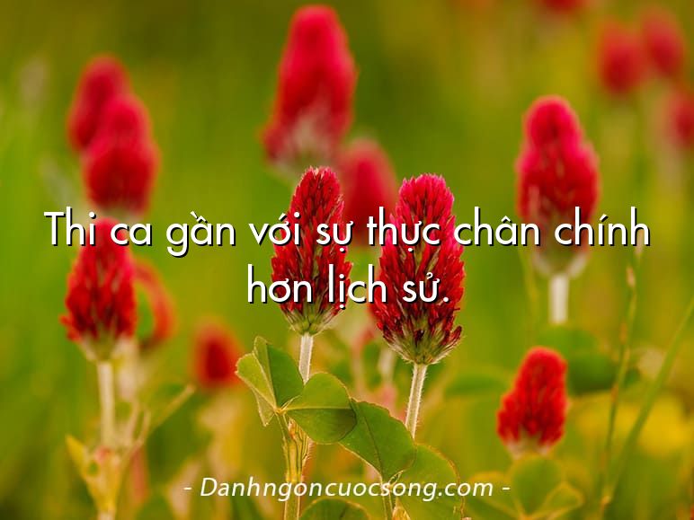 Thi ca gần với sự thực chân chính hơn lịch sử.