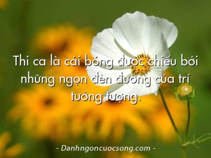 Thi ca là cái bóng được chiếu bởi những ngọn đèn đường của trí tưởng tượng.