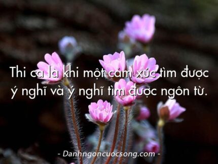 Thi ca là khi một cảm xúc tìm được ý nghĩ và ý nghĩ tìm được ngôn từ.
