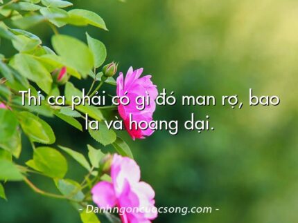 Thi ca phải có gì đó man rợ, bao la và hoang dại.