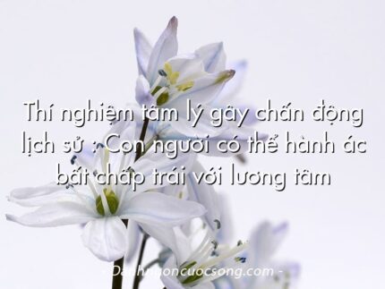 Thí nghiệm tâm lý gây chấn động lịch sử : Con người có thể hành ác bất chấp trái với lương tâm