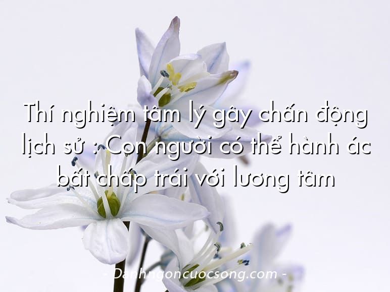 Thí nghiệm tâm lý gây chấn động lịch sử : Con người có thể hành ác bất chấp trái với lương tâm