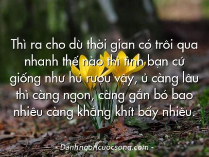 Thì ra cho dù thời gian có trôi qua nhanh thế nào thì tình bạn cứ giống như hủ rượu vậy, ủ càng lâu thì càng ngon, càng gắn bó bao nhiêu càng khắng khít bấy nhiêu.