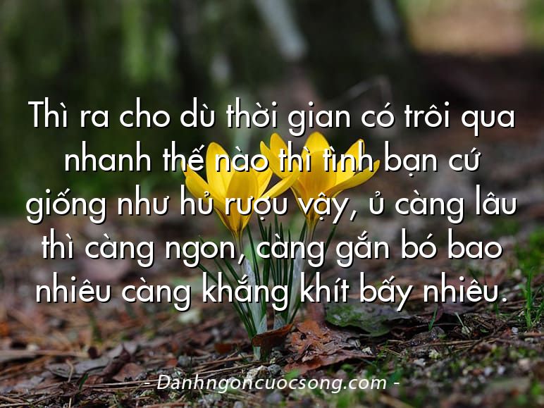 Thì ra cho dù thời gian có trôi qua nhanh thế nào thì tình bạn cứ giống như hủ rượu vậy, ủ càng lâu thì càng ngon, càng gắn bó bao nhiêu càng khắng khít bấy nhiêu.