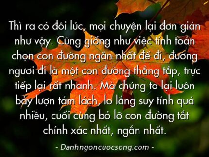 Thì ra có đôi lúc, mọi chuyện lại đơn giản như vậy. Cũng giống như việc tính toán chọn con đường ngắn nhất để đi, đường ngươi đi là một con đường thẳng tắp, trực tiếp lại rất nhanh. Mà chúng ta lại luôn bảy lượn tám lách, lo lắng suy tính quá nhiều, cuối cùng bỏ lỡ con đường tắt chính xác nhất, ngắn nhất.