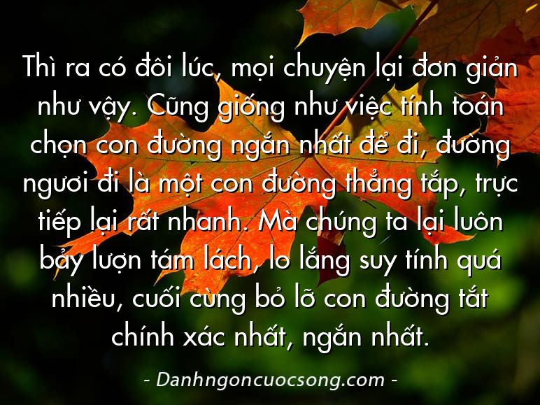 Thì ra có đôi lúc, mọi chuyện lại đơn giản như vậy. Cũng giống như việc tính toán chọn con đường ngắn nhất để đi, đường ngươi đi là một con đường thẳng tắp, trực tiếp lại rất nhanh. Mà chúng ta lại luôn bảy lượn tám lách, lo lắng suy tính quá nhiều, cuối cùng bỏ lỡ con đường tắt chính xác nhất, ngắn nhất.