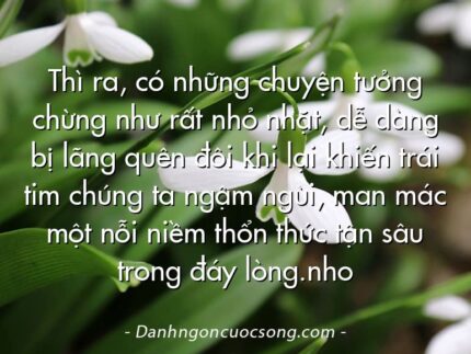 Thì ra, có những chuyện tưởng chừng như rất nhỏ nhặt, dễ dàng bị lãng quên đôi khi lại khiến trái tim chúng ta ngậm ngùi, man mác một nỗi niềm thổn thức tận sâu trong đáy lòng.nho