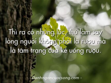 Thì ra có những lúc, thứ làm say lòng người không phải là rượu mà là tâm trạng của kẻ uống rượu.