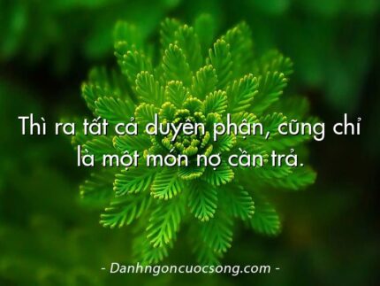 Thì ra tất cả duyên phận, cũng chỉ là một món nợ cần trả.
