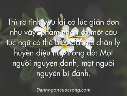 Thì ra tình yêu lại có lúc giản đơn như vậy, phàm nhân có một câu tục ngữ có thể biểu đạt hết chân lý huyền diệu này trong đó: Một người nguyện đánh, một người nguyện bị đánh.