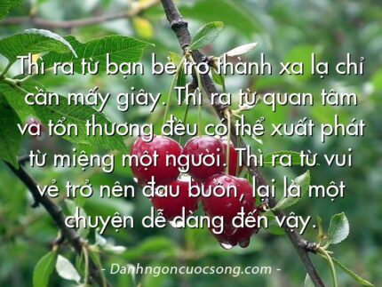 Thì ra từ bạn bè trở thành xa lạ chỉ cần mấy giây. Thì ra từ quan tâm và tổn thương đều có thể xuất phát từ miệng một người. Thì ra từ vui vẻ trở nên đau buồn, lại là một chuyện dễ dàng đến vậy.