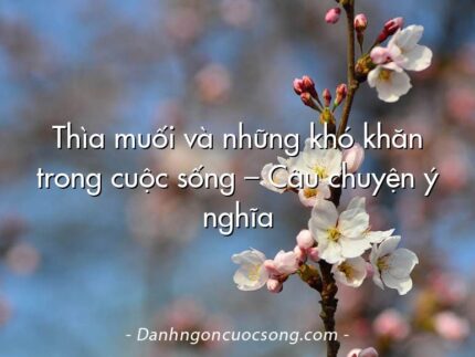 Thìa muối và những khó khăn trong cuộc sống – Câu chuyện ý nghĩa