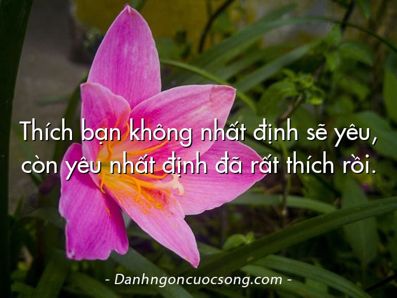 Thích bạn không nhất định sẽ yêu, còn yêu nhất định đã rất thích rồi.