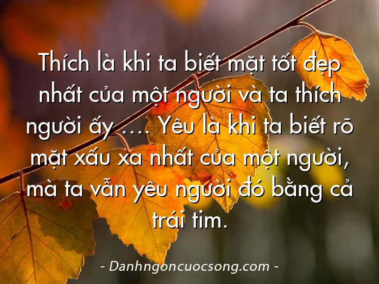 Thích là khi ta biết mặt tốt đẹp nhất của một người và ta thích người ấy …. Yêu là khi ta biết rõ mặt xấu xa nhất của một người, mà ta vẫn yêu người đó bằng cả trái tim.