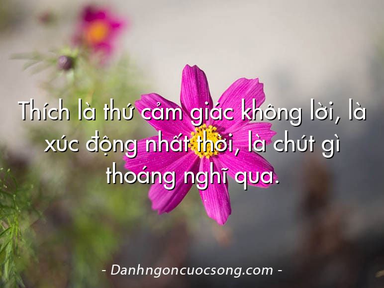 Thích là thứ cảm giác không lời, là xúc động nhất thời, là chút gì thoáng nghĩ qua.