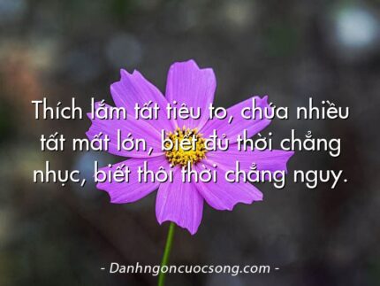 Thích lắm tất tiêu to, chứa nhiều tất mất lớn, biết đủ thời chẳng nhục, biết thôi thời chẳng nguy.