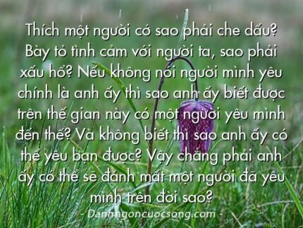Thích một người cớ sao phải che dấu? Bày tỏ tình cảm với người ta, sao phải xấu hổ? Nếu không nói người mình yêu chính là anh ấy thì sao anh ấy biết được trên thế gian này có một người yêu mình đến thế? Và không biết thì sao anh ấy có thể yêu bạn được? Vậy chẳng phải anh ấy có thể sẽ đánh mất một người đã yêu mình trên đời sao?