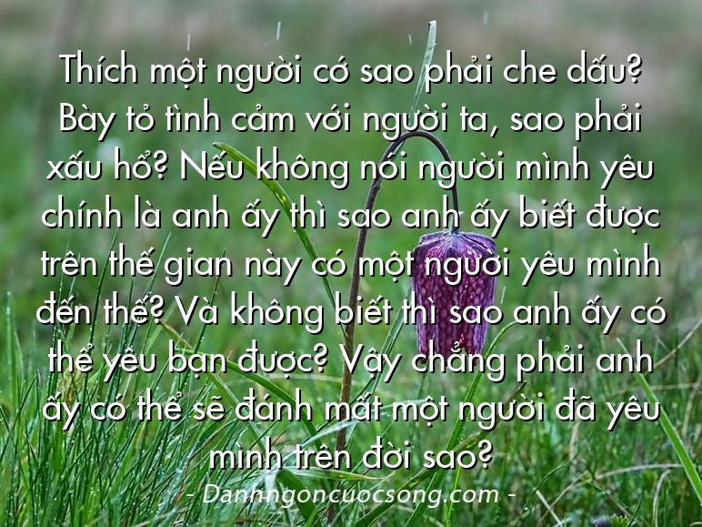 Thích một người cớ sao phải che dấu? Bày tỏ tình cảm với người ta, sao phải xấu hổ? Nếu không nói người mình yêu chính là anh ấy thì sao anh ấy biết được trên thế gian này có một người yêu mình đến thế? Và không biết thì sao anh ấy có thể yêu bạn được? Vậy chẳng phải anh ấy có thể sẽ đánh mất một người đã yêu mình trên đời sao?