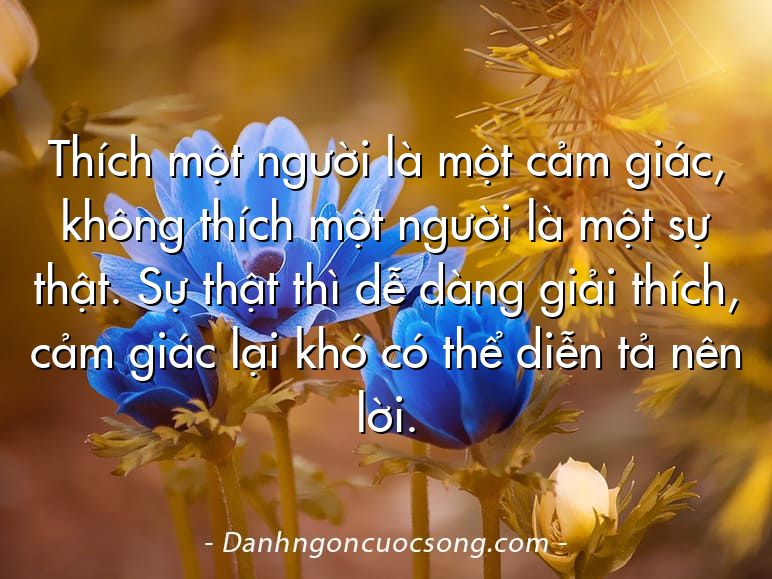 Thích một người là một cảm giác, không thích một người là một sự thật. Sự thật thì dễ dàng giải thích, cảm giác lại khó có thể diễn tả nên lời.