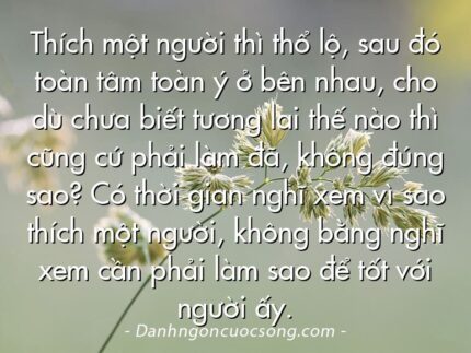 Thích một người thì thổ lộ, sau đó toàn tâm toàn ý ở bên nhau, cho dù chưa biết tương lai thế nào thì cũng cứ phải làm đã, không đúng sao? Có thời gian nghĩ xem vì sao thích một người, không bằng nghĩ xem cần phải làm sao để tốt với người ấy.