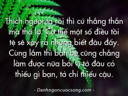Thích người ta rồi thì cứ thẳng thắn mà thổ lộ. Có thể một số điều tồi tệ sẽ xảy ra nhưng biết đâu đấy. Cùng lắm thì bạn bè cũng chẳng làm được nữa bởi vì tớ đâu có thiếu gì bạn, tớ chỉ thiếu cậu.