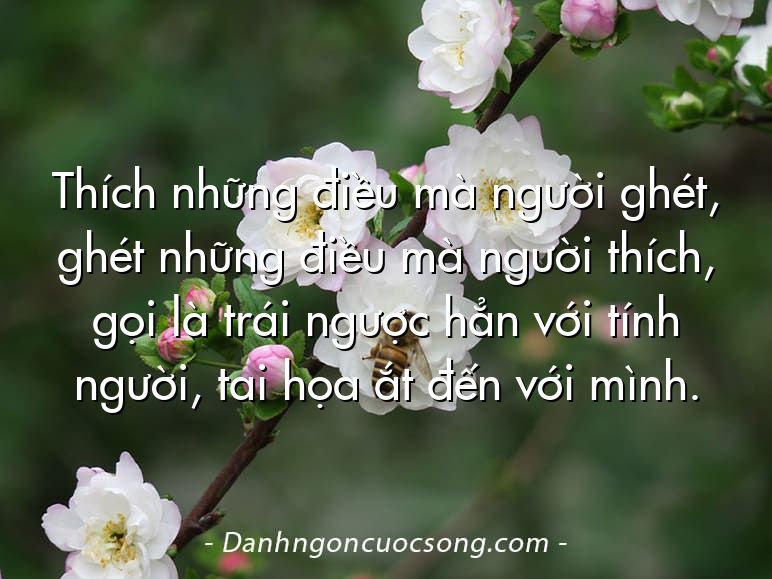 Thích những điều mà người ghét, ghét những điều mà người thích, gọi là trái ngược hẳn với tính người, tai họa ắt đến với mình.
