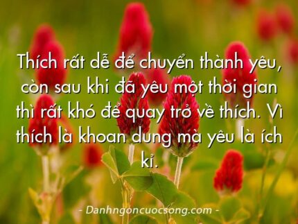 Thích rất dễ để chuyển thành yêu, còn sau khi đã yêu một thời gian thì rất khó để quay trở về thích. Vì thích là khoan dung mà yêu là ích kỉ.