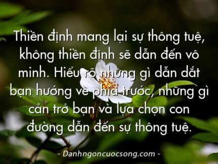 Thiền định mang lại sự thông tuệ, không thiền định sẽ dẫn đến vô minh. Hiểu rõ những gì dẫn dắt bạn hướng về phía trước, những gì cản trở bạn và lựa chọn con đường dẫn đến sự thông tuệ.