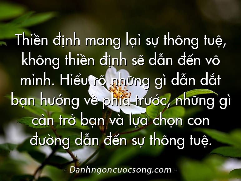 Thiền định mang lại sự thông tuệ, không thiền định sẽ dẫn đến vô minh. Hiểu rõ những gì dẫn dắt bạn hướng về phía trước, những gì cản trở bạn và lựa chọn con đường dẫn đến sự thông tuệ.