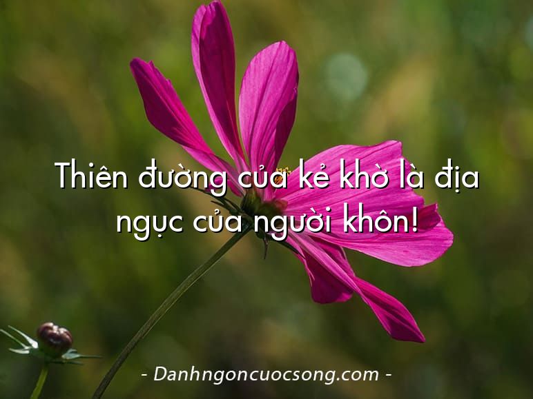 Thiên đường của kẻ khờ là địa ngục của người khôn!
