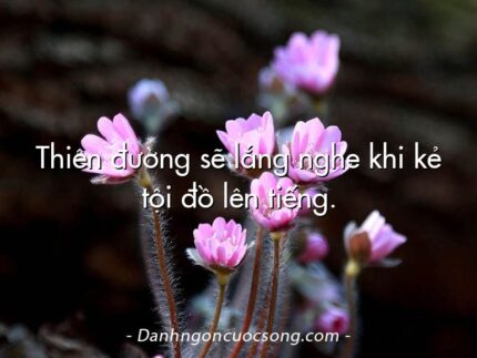 Thiên đường sẽ lắng nghe khi kẻ tội đồ lên tiếng.