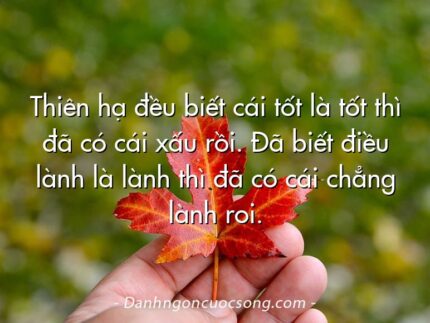 Thiên hạ đều biết cái tốt là tốt thì đã có cái xấu rồi. Đã biết điều lành là lành thì đã có cái chẳng lành roi.