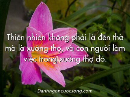 Thiên nhiên không phải là đền thờ mà là xưởng thợ, và con người làm việc trong xưởng thợ đó.